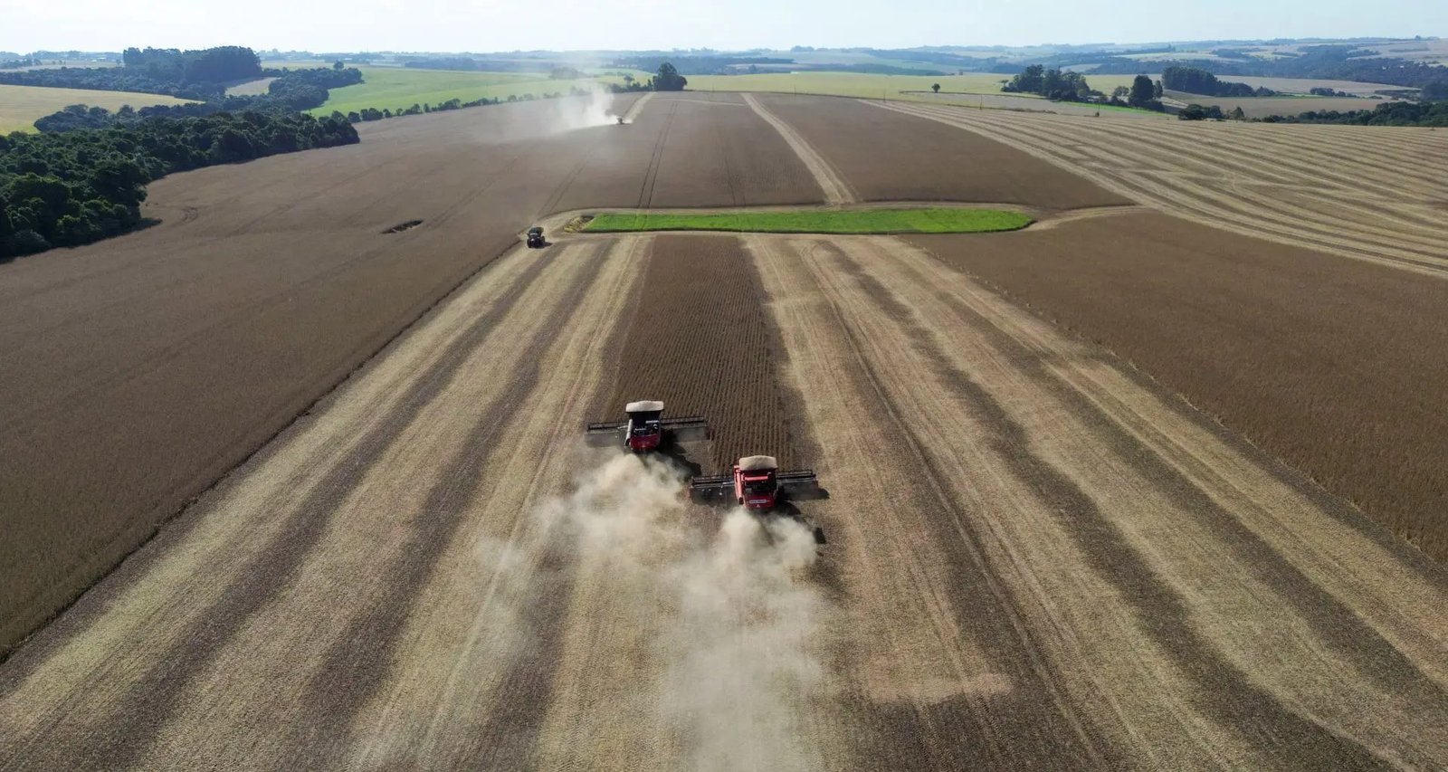 Colheita de soja no Brasil atinge 61% da área e segue no ritmo mais lento desde 2020/21 - Imagem do artigo