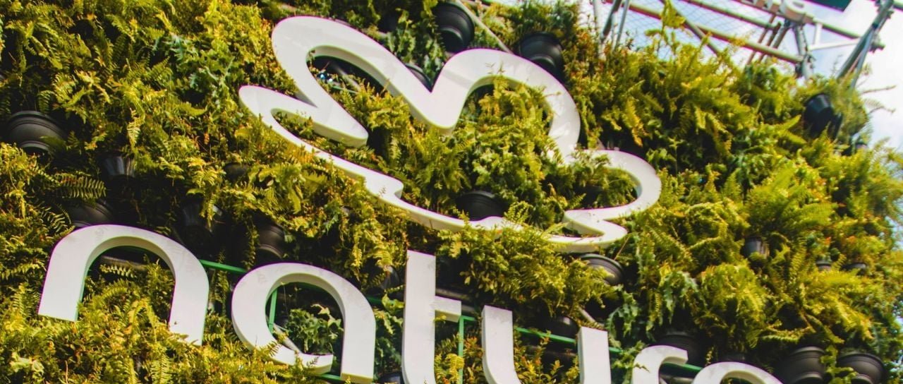 Natura reverte prejuízo e lucra R$ 186 milhões no 4º trimestre de 2025 - Imagem do artigo