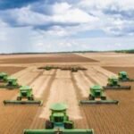 Bank of America eleva preço-alvo de SLC Agrícola para R$ 20, mas mantém visão neutra após alta de 23% no ano