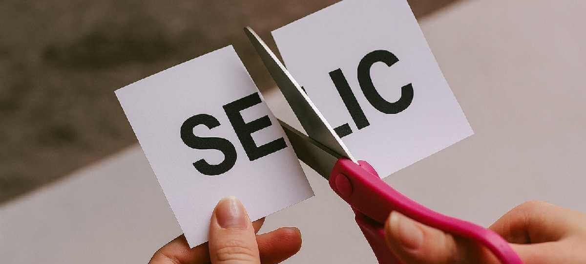 Copom corta Selic para 14,75% ao ano; juros do Tesouro sobem e Bolsa recua - Imagem do artigo