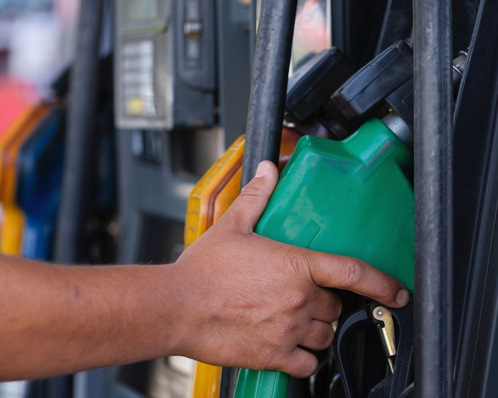 Escassez de cacau nas Guerras Napoleônicas originou a gianduia, base da Nutella, e sustenta mercado anual de R$ 31 bilhões - Imagem do artigo original