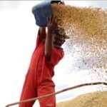 Conflito entre EUA e Irã eleva soja e milho, mas pressiona carnes; BB Investimentos projeta alta de 82,2% para Minerva