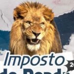 Quem pode ser incluído como dependente na declaração do Imposto de Renda 2026